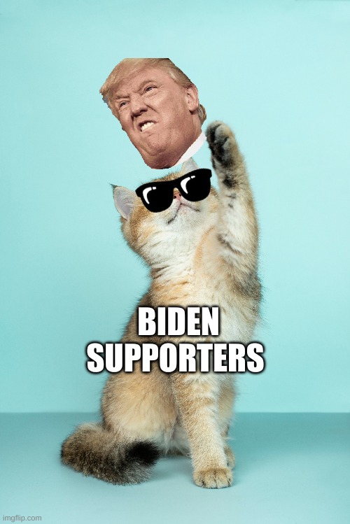 biden suporter | BIDEN SUPPORTERS | image tagged in donald trump | made w/ Imgflip meme maker