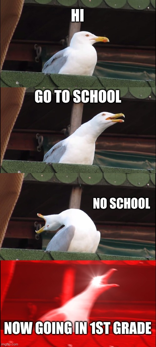 school fail | HI; GO TO SCHOOL; NO SCHOOL; NOW GOING IN 1ST GRADE | image tagged in memes,inhaling seagull | made w/ Imgflip meme maker