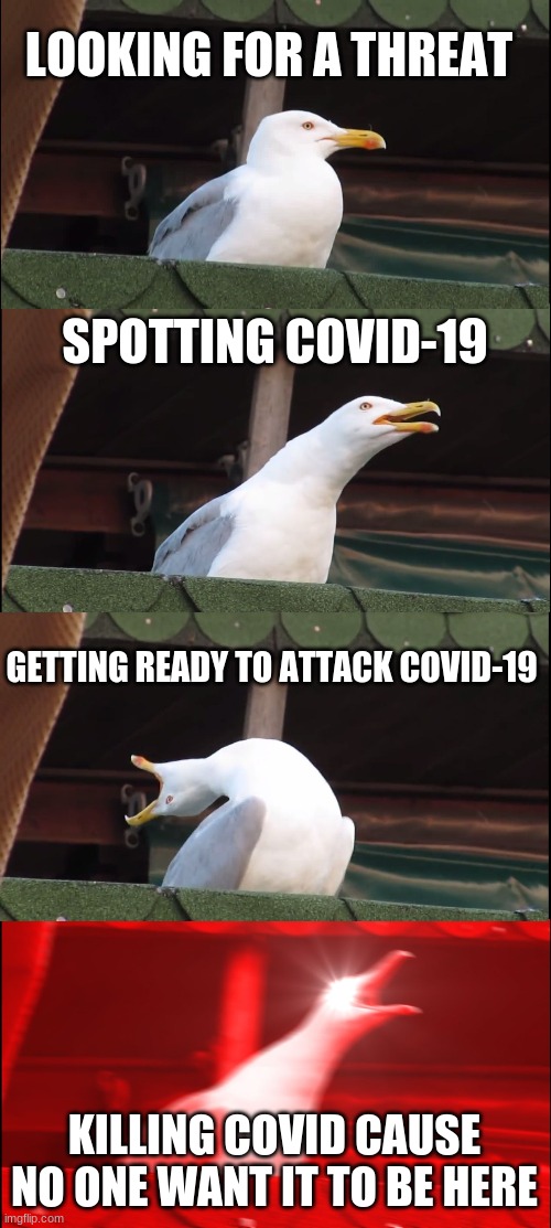 Inhaling Seagull Meme | LOOKING FOR A THREAT; SPOTTING COVID-19; GETTING READY TO ATTACK COVID-19; KILLING COVID CAUSE NO ONE WANT IT TO BE HERE | image tagged in memes,inhaling seagull | made w/ Imgflip meme maker
