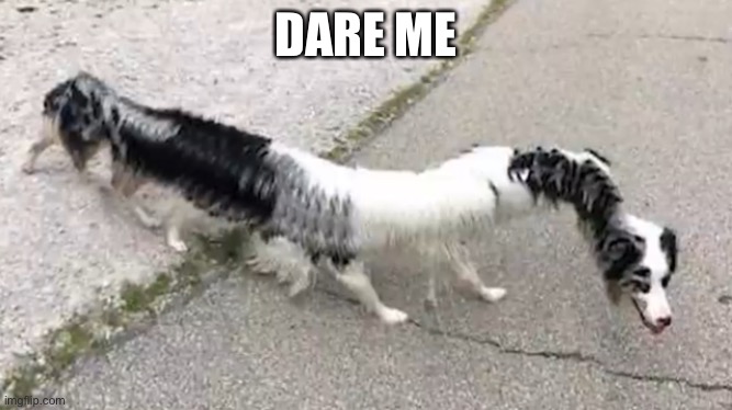 Stapler | DARE ME | made w/ Imgflip meme maker