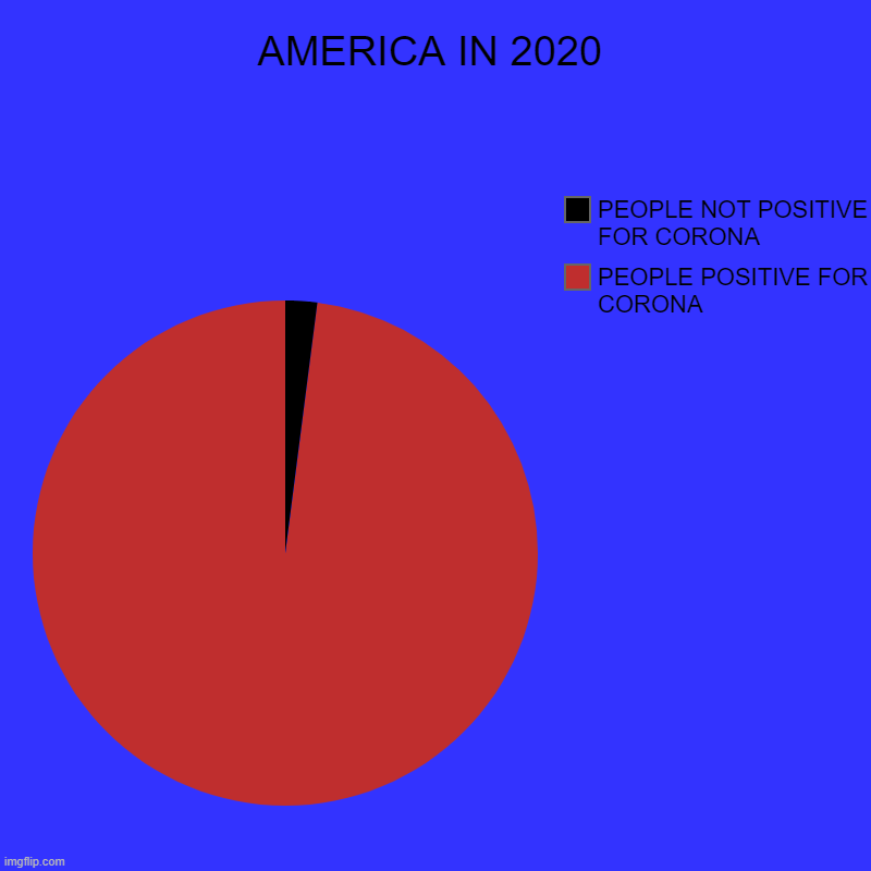 AMERICA IN 2020 | PEOPLE POSITIVE FOR CORONA, PEOPLE NOT POSITIVE FOR CORONA | image tagged in charts,pie charts | made w/ Imgflip chart maker