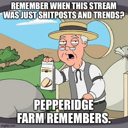 I know, I'm not really an og of this stream, but it's slowly getting worse. | REMEMBER WHEN THIS STREAM WAS JUST SHITPOSTS AND TRENDS? PEPPERIDGE FARM REMEMBERS. | image tagged in memes,pepperidge farm remembers | made w/ Imgflip meme maker