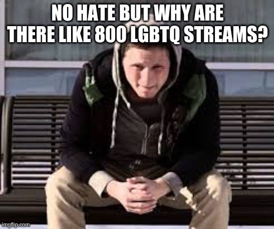 just a question | NO HATE BUT WHY ARE THERE LIKE 800 LGBTQ STREAMS? | image tagged in nf existing | made w/ Imgflip meme maker