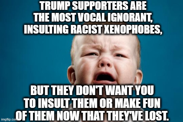 How Does Your Own Diarrhea Taste? | TRUMP SUPPORTERS ARE THE MOST VOCAL IGNORANT, INSULTING RACIST XENOPHOBES, BUT THEY DON'T WANT YOU TO INSULT THEM OR MAKE FUN OF THEM NOW THAT THEY'VE LOST. | image tagged in baby crying,trump supporters,donald trump,election 2020,racists,babies | made w/ Imgflip meme maker