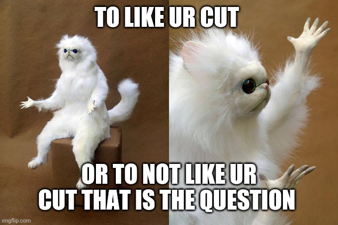 Persian Cat Room Guardian Meme | TO LIKE UR CUT; OR TO NOT LIKE UR CUT THAT IS THE QUESTION | image tagged in memes,persian cat room guardian | made w/ Imgflip meme maker