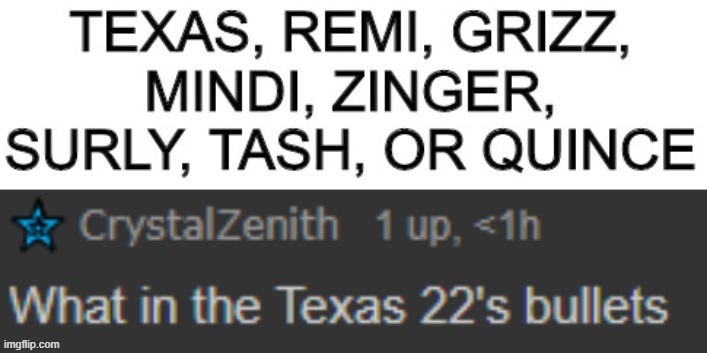 What in the Texas 22's bullets- | image tagged in what in the texas 22's bullets- | made w/ Imgflip meme maker