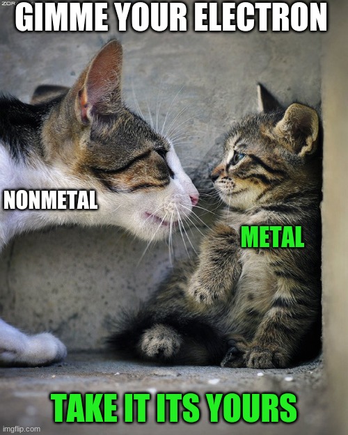 Ionic bond in a nutshell | GIMME YOUR ELECTRON; NONMETAL; METAL; TAKE IT ITS YOURS | image tagged in bully cat,ionic bond,science,science meme | made w/ Imgflip meme maker
