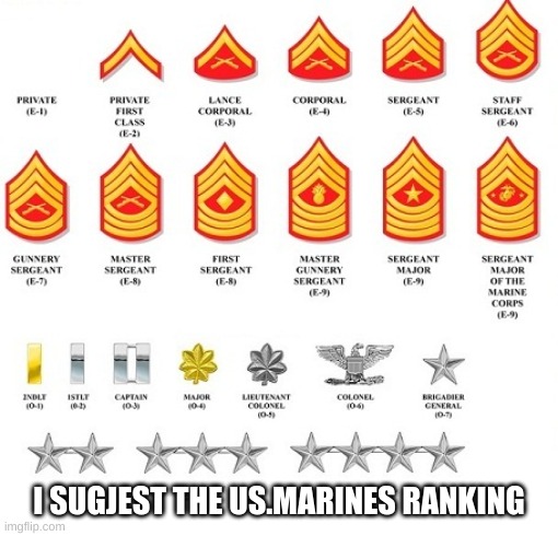 I SUGGEST THE US. MARINES RANKING | image tagged in military | made w/ Imgflip meme maker