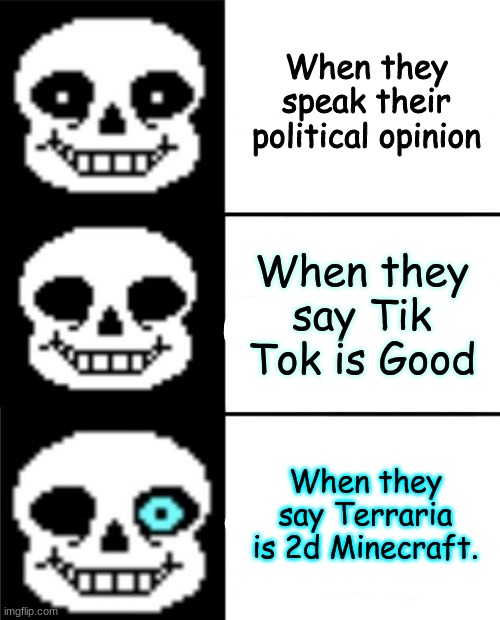 Bad Time | When they speak their political opinion; When they say Tik Tok is Good; When they say Terraria is 2d Minecraft. | image tagged in sans | made w/ Imgflip meme maker