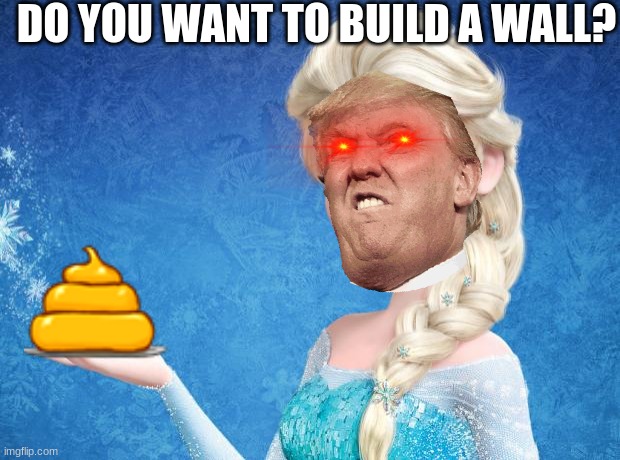 Elsa Frozen | DO YOU WANT TO BUILD A WALL? | image tagged in elsa frozen | made w/ Imgflip meme maker