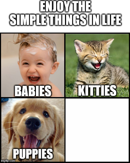 Simple Things In Life template | ENJOY THE SIMPLE THINGS IN LIFE; BABIES; KITTIES; PUPPIES | image tagged in new template | made w/ Imgflip meme maker