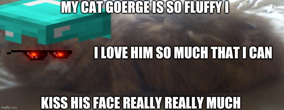 my cat goarge | MY CAT GOERGE IS SO FLUFFY I; I LOVE HIM SO MUCH THAT I CAN; KISS HIS FACE REALLY REALLY MUCH | image tagged in goarge | made w/ Imgflip meme maker
