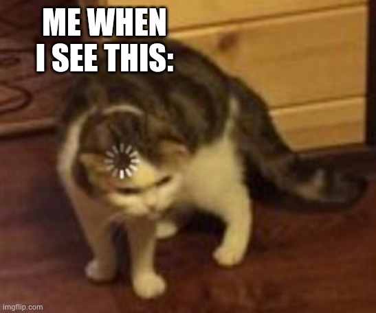 Loading cat | ME WHEN I SEE THIS: | image tagged in loading cat | made w/ Imgflip meme maker