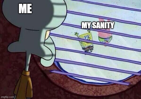 Squidward window | ME; MY SANITY | image tagged in squidward window | made w/ Imgflip meme maker