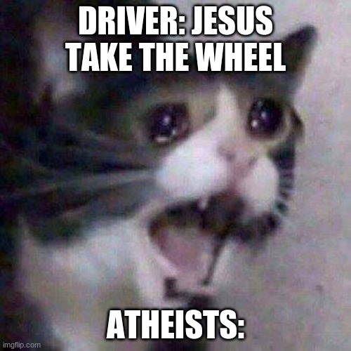 SAVE ME | DRIVER: JESUS TAKE THE WHEEL; ATHEISTS: | image tagged in cat screaming | made w/ Imgflip meme maker