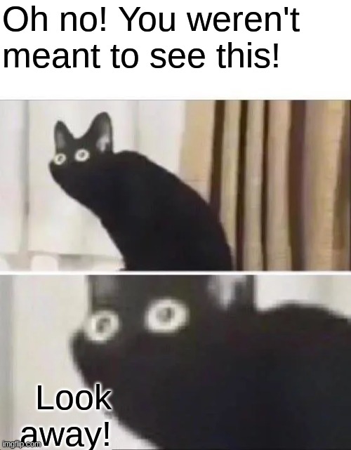 Oh No Black Cat | Oh no! You weren't meant to see this! Look away! | image tagged in oh no black cat | made w/ Imgflip meme maker