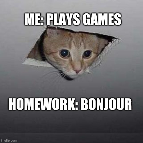 bonjour | ME: PLAYS GAMES; HOMEWORK: BONJOUR | image tagged in memes,ceiling cat | made w/ Imgflip meme maker