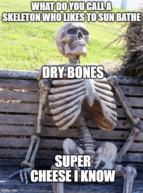 Skeleton joke | WHAT DO YOU CALL A SKELETON WHO LIKES TO SUN BATHE; DRY BONES; SUPER CHEESE I KNOW | image tagged in memes,waiting skeleton | made w/ Imgflip meme maker