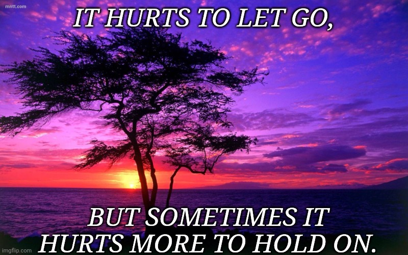 Sunrise purple beauty | IT HURTS TO LET GO, BUT SOMETIMES IT HURTS MORE TO HOLD ON. | image tagged in sunrise purple beauty | made w/ Imgflip meme maker