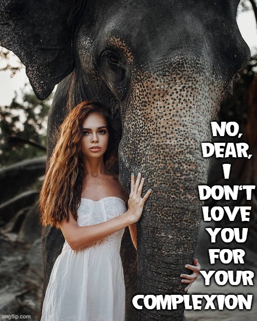 The Object of My Affection can change my Complexion from White to Rosy Red | NO,
DEAR,
I
DON'T
LOVE
YOU
FOR
YOUR; COMPLEXION | image tagged in vince vance,elephants,trunk,memes,size matters,skin | made w/ Imgflip meme maker