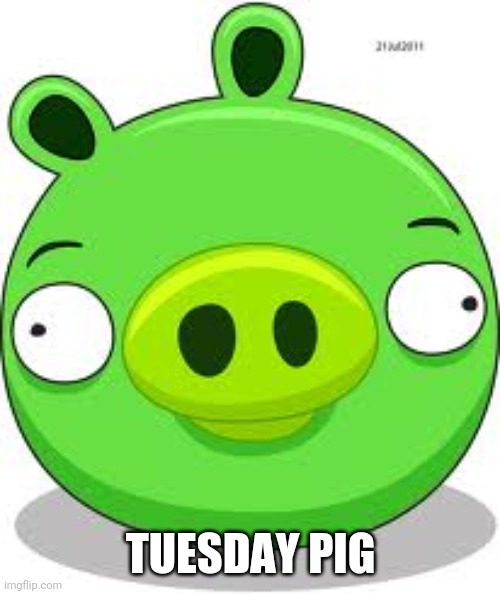 Angry Birds Pig Meme | TUESDAY PIG | image tagged in memes,angry birds pig | made w/ Imgflip meme maker