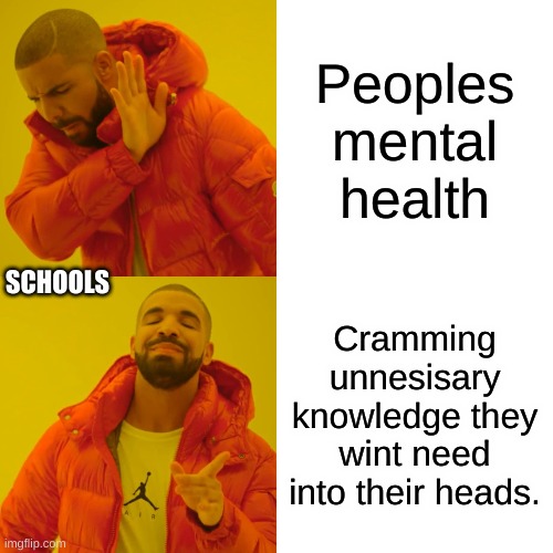 Drake Hotline Bling Meme | Peoples mental health; SCHOOLS; Cramming unnesisary knowledge they wint need into their heads. | image tagged in memes,drake hotline bling | made w/ Imgflip meme maker