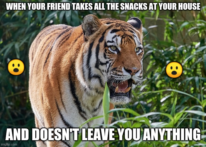 Jaw drop | WHEN YOUR FRIEND TAKES ALL THE SNACKS AT YOUR HOUSE; 😮; 😮; AND DOESN'T LEAVE YOU ANYTHING | image tagged in grumpy cats father | made w/ Imgflip meme maker
