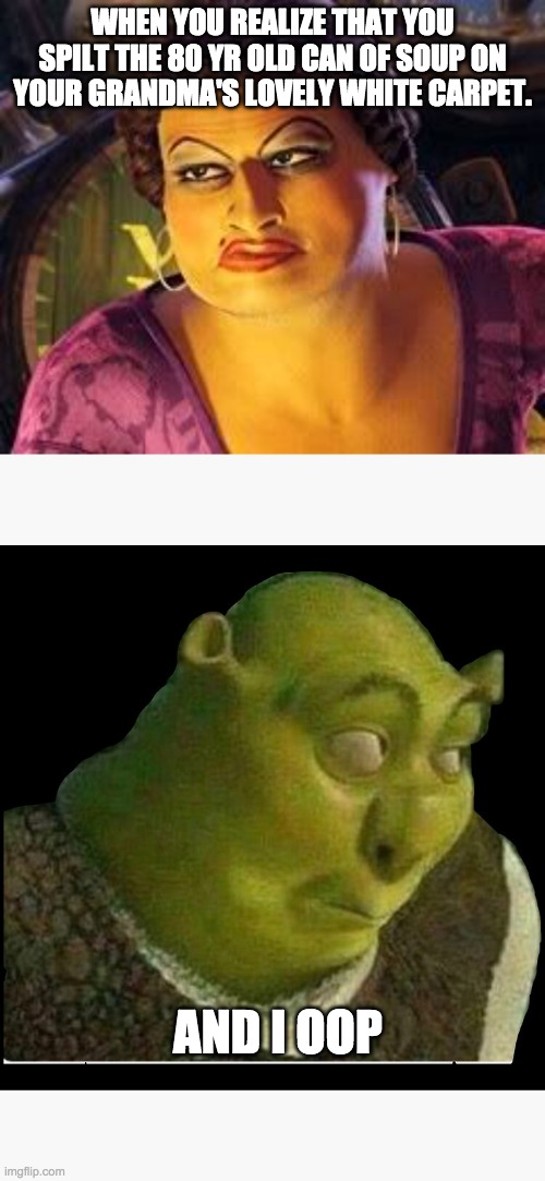 WHEN YOU REALIZE THAT YOU SPILT THE 80 YR OLD CAN OF SOUP ON YOUR GRANDMA'S LOVELY WHITE CARPET. AND I OOP | image tagged in travesti de shrek | made w/ Imgflip meme maker