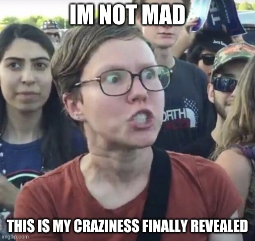 no. | IM NOT MAD; THIS IS MY CRAZINESS FINALLY REVEALED | image tagged in triggered feminist | made w/ Imgflip meme maker