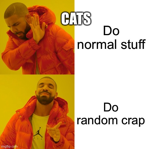 Drake Hotline Bling Meme | CATS; Do normal stuff; Do random crap | image tagged in memes,drake hotline bling,cats | made w/ Imgflip meme maker