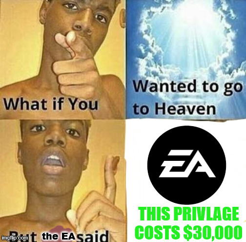 Stupid EA | THIS PRIVLAGE COSTS $30,000; the EA | image tagged in what if you wanted to go to heaven | made w/ Imgflip meme maker