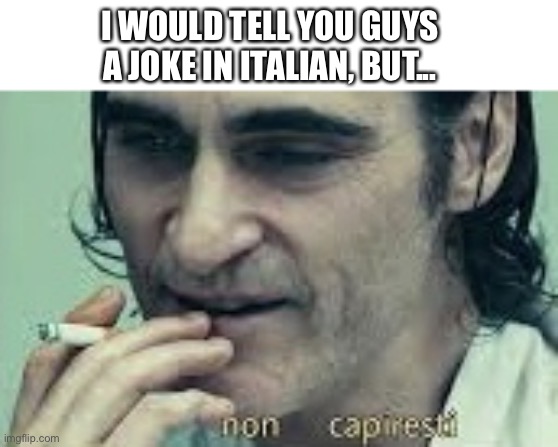 you wouldn’t get it  non capiresti | I WOULD TELL YOU GUYS A JOKE IN ITALIAN, BUT... | image tagged in you wouldn t get it non capiresti | made w/ Imgflip meme maker