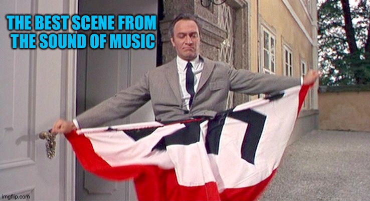 Von Trapp (Christopher Plummer) ripping up a Nazi flag | THE BEST SCENE FROM 
THE SOUND OF MUSIC | image tagged in nazi flag | made w/ Imgflip meme maker