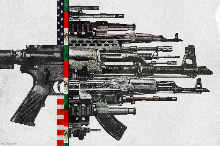 TEXAS GUNS, AND YES ITS A TEM-UWU-KING-PLATE | image tagged in texas guns | made w/ Imgflip meme maker