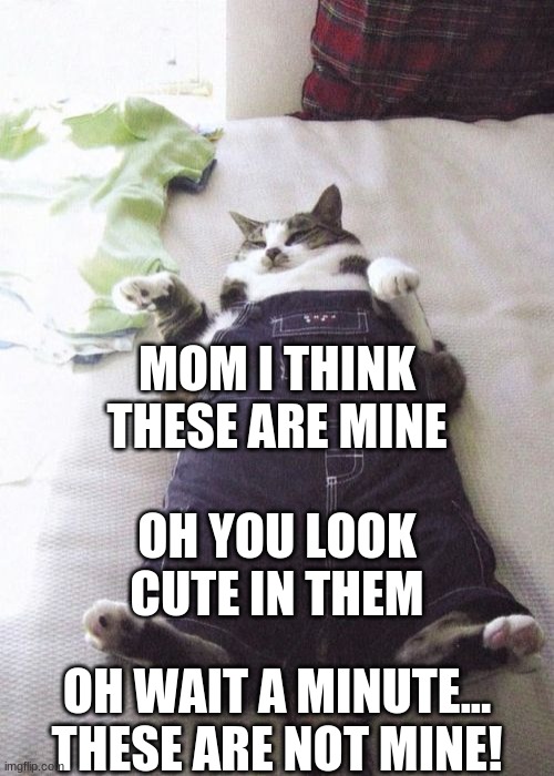 Fat Cat | MOM I THINK THESE ARE MINE; OH YOU LOOK CUTE IN THEM; OH WAIT A MINUTE... THESE ARE NOT MINE! | image tagged in memes,fat cat | made w/ Imgflip meme maker