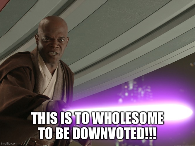 mace windu | THIS IS TO WHOLESOME TO BE DOWNVOTED!!! | image tagged in mace windu | made w/ Imgflip meme maker