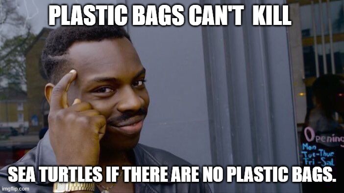 Roll Safe Think About It Meme |  PLASTIC BAGS CAN'T  KILL; SEA TURTLES IF THERE ARE NO PLASTIC BAGS. | image tagged in memes,roll safe think about it | made w/ Imgflip meme maker