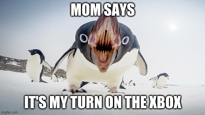 xbox battle | MOM SAYS; IT'S MY TURN ON THE XBOX | image tagged in lol so funny | made w/ Imgflip meme maker