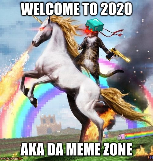 welcome to 2020 | WELCOME TO 2020; AKA DA MEME ZONE | image tagged in memes,welcome to the internets,2020 sucks | made w/ Imgflip meme maker