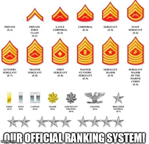 YAY | OUR OFFICIAL RANKING SYSTEM! | image tagged in cool | made w/ Imgflip meme maker