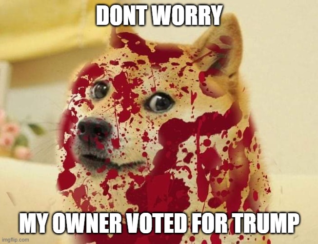 Bloody doge | DONT WORRY MY OWNER VOTED FOR TRUMP | image tagged in bloody doge | made w/ Imgflip meme maker