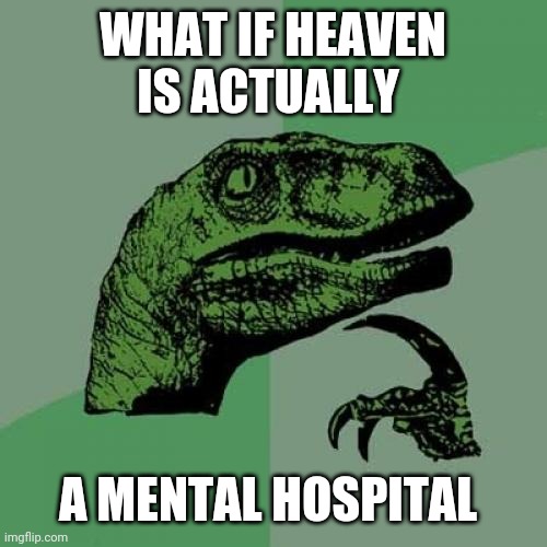 Not excluded | WHAT IF HEAVEN IS ACTUALLY; A MENTAL HOSPITAL | image tagged in memes,philosoraptor | made w/ Imgflip meme maker