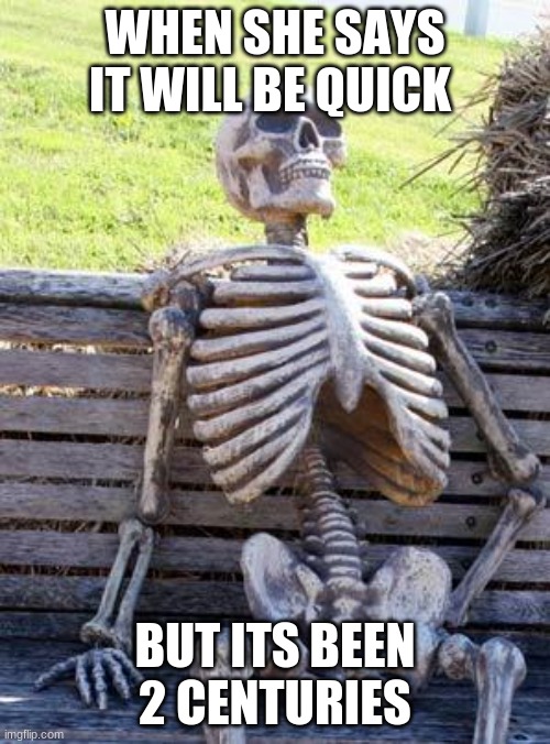 Waiting Skeleton | WHEN SHE SAYS IT WILL BE QUICK; BUT ITS BEEN 2 CENTURIES | image tagged in memes,waiting skeleton | made w/ Imgflip meme maker