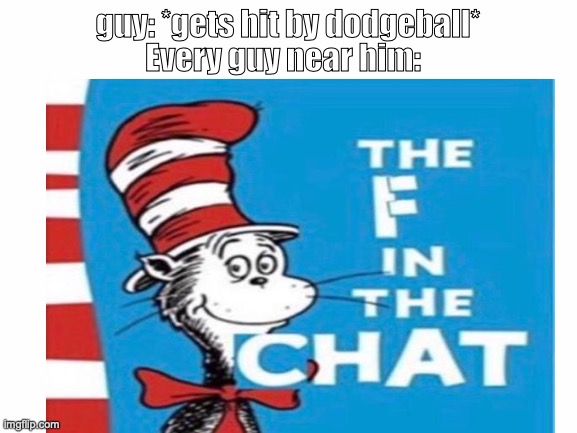Gotta hurt | guy: *gets hit by dodgeball*; Every guy near him: | image tagged in cat in the hat | made w/ Imgflip meme maker
