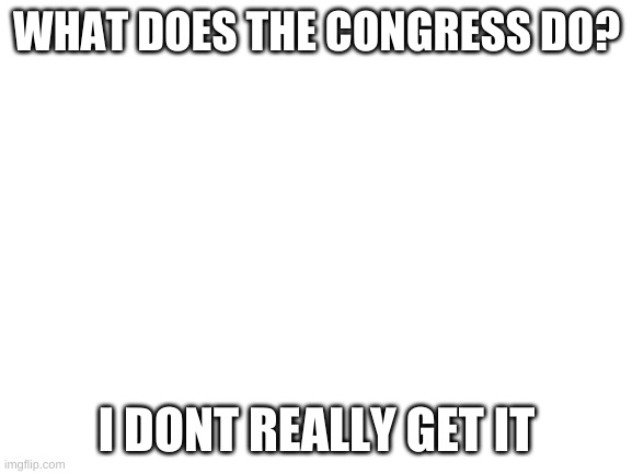 reply in comments | WHAT DOES THE CONGRESS DO? I DONT REALLY GET IT | image tagged in blank white template | made w/ Imgflip meme maker