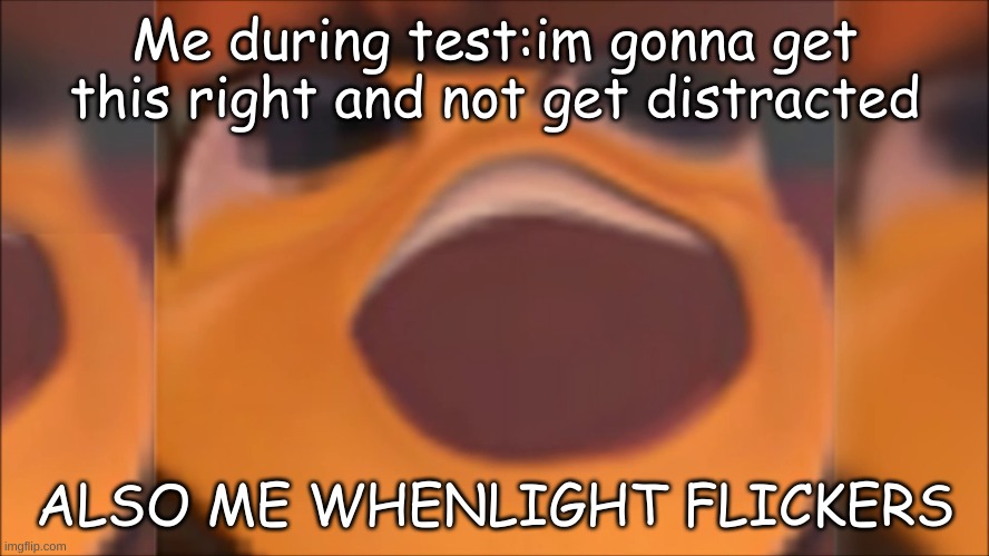 Bee movie | Me during test:im gonna get this right and not get distracted; ALSO ME WHENLIGHT FLICKERS | image tagged in bee movie | made w/ Imgflip meme maker