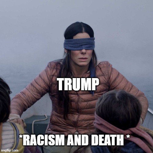 Bird Box | TRUMP; *RACISM AND DEATH * | image tagged in memes,bird box | made w/ Imgflip meme maker