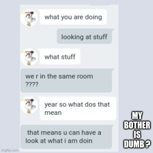 my bother texting me | MY BOTHER IS DUMB ? | image tagged in dumb,funny meme | made w/ Imgflip meme maker