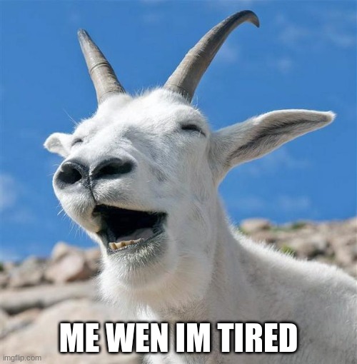 Laughing Goat |  ME WEN IM TIRED | image tagged in memes,laughing goat | made w/ Imgflip meme maker