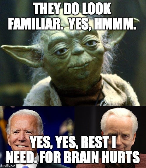 yodas humor | THEY DO LOOK FAMILIAR.  YES, HMMM. YES, YES, REST I NEED. FOR BRAIN HURTS | image tagged in memes,star wars yoda | made w/ Imgflip meme maker